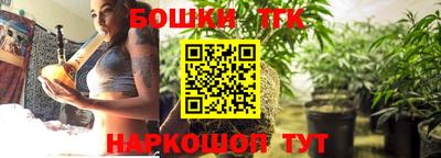 индика Пушкино
