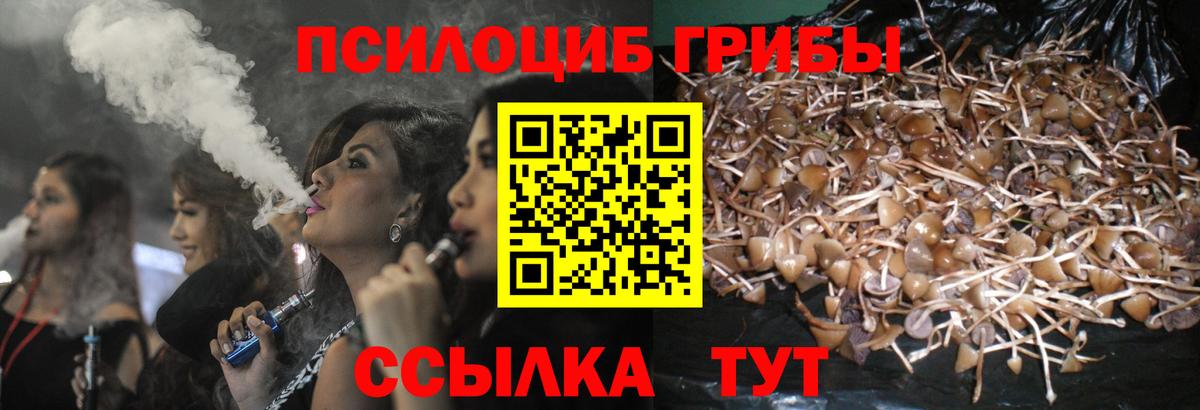 Славянск-на-Кубани  как найти наркотики  Вход с VPN  Псилоцибиновые грибы мицелий 